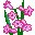 flowers-568